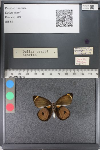 Media type: image;   Entomology 128309